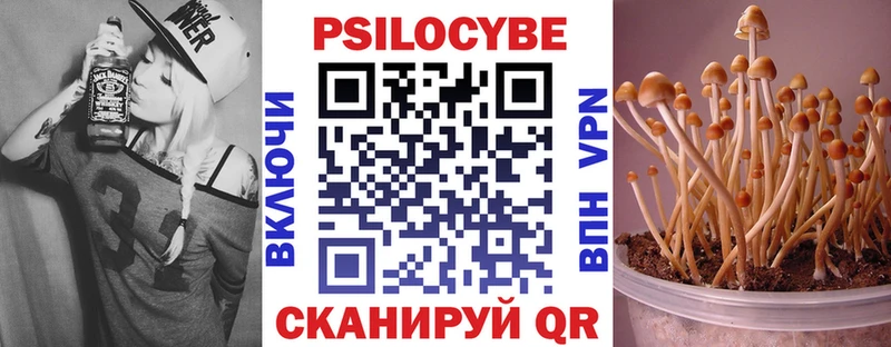 hydra ссылка Инсар Галлюциногенные грибы GOLDEN TEACHER
